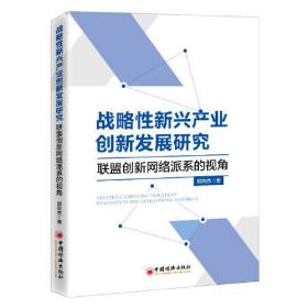 战略性新兴产业创新发展研究：联盟创新网络派系的视角