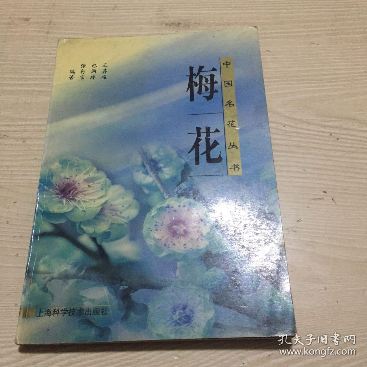 梅花——中国名花丛书