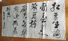 鲁地 书法【红豆生南国 春来发几枝】