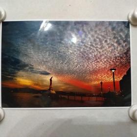 摄影作品《静观》