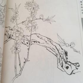 花卉写生百图——中国当代线描资料丛书