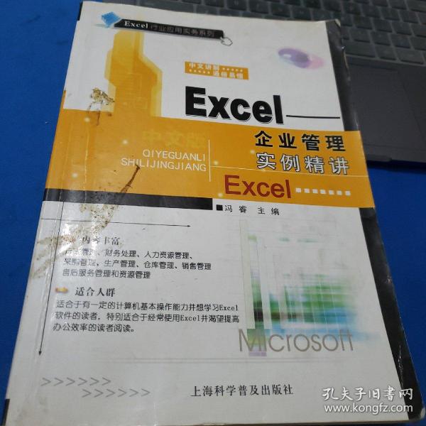 Excel：企业管理实例精讲