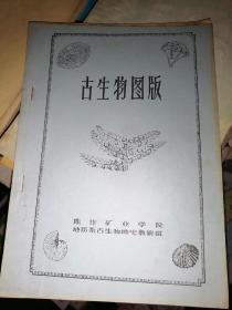 古生物图版