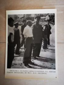 老照片：1952年，邓小平、贺龙在西南军区