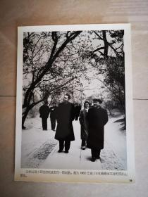 老照片：1963年，邓小平和周恩来在颐和园后山赏花