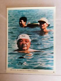 老照片：1989年8月，85岁高龄的邓小平在盛夏每天到海里游泳