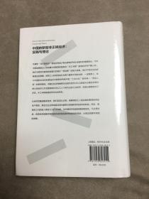 中国的新型非正规经济：实践与理论（实践社会科学与中国研究·卷三）