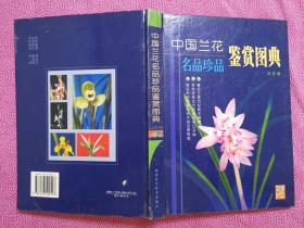 中国兰花名品珍品鉴赏图典（硬精装/2003年一版一印）