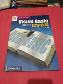 Visual Basic数据库开发自学教程——数据库开发自学教程系列