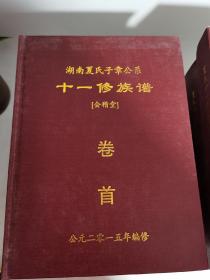 湖南夏氏十一修族谱全套十册品优