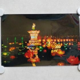 摄影作品《莲花仙子庆回归》