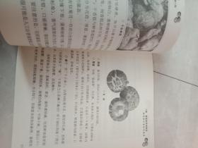 食物妙用系列丛书：妙用香菇治百病