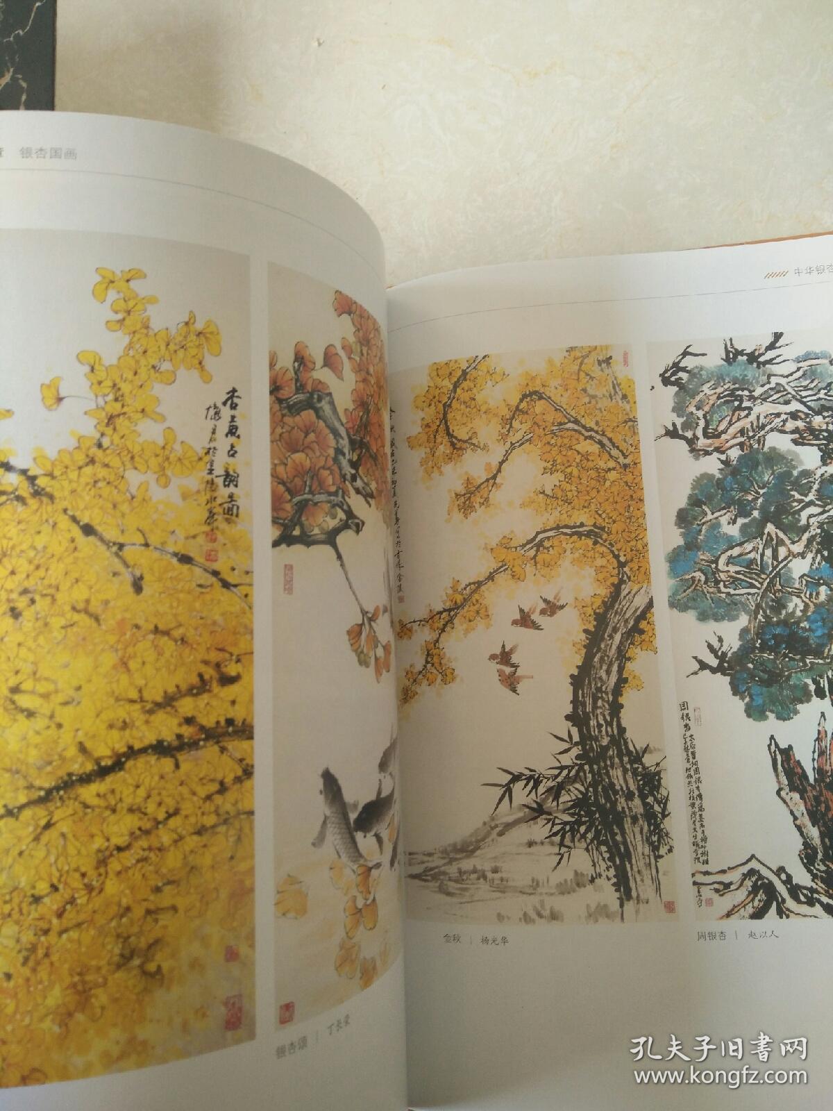 中华银杏文化大观-  包 邮）