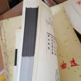 花卉写生百图——中国当代线描资料丛书