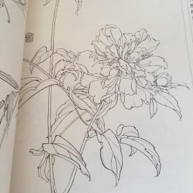 花卉写生百图——中国当代线描资料丛书