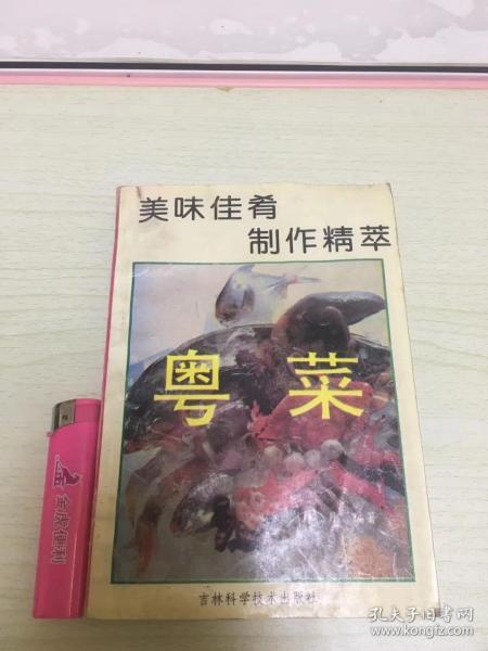 美味佳肴制作精萃 粤菜