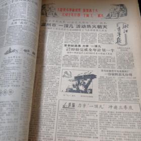 浙江青年报1960年5月至6月合订本