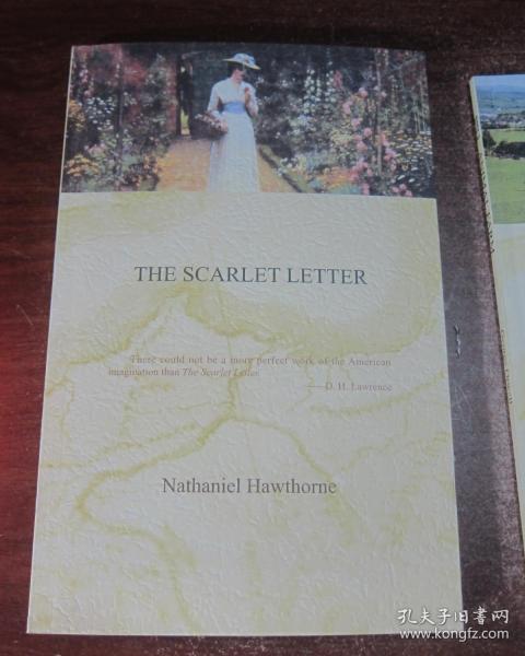 the scarlet letter  红字