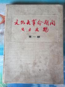 期间出土文物 第一辑