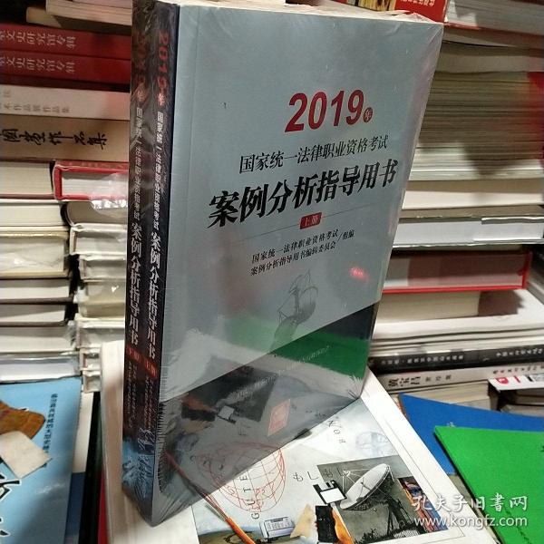 司法考试2019 2019年国家统一法律职业资格考试案例分析指导用书（全2册）