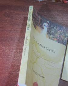 the scarlet letter  红字