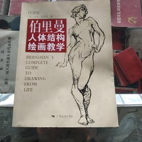 伯里曼人体结构绘画教学（白金版）