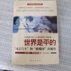 世界是平的：《世界是平的：21世纪简史》姊妹篇