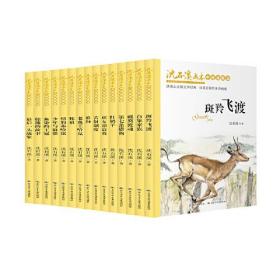 沈石溪画本 新版(全15册)（