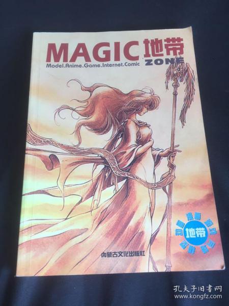 MAGIC地带：《电子游戏软件》杂志特刊