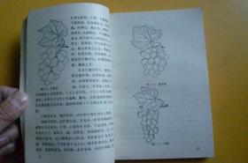 葡萄栽培技术200问【辽宁科学技术出版社】