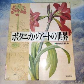 ポタニカルアニトの世界 ●植物画の楽しみ 译文：植物画的乐趣：植物画的世界 日文原版 实物图