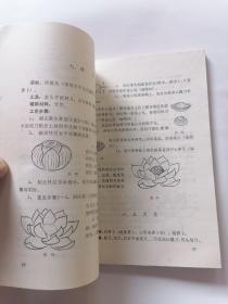 食品雕刻：胡光旭王祥蔬菜雕刻艺术