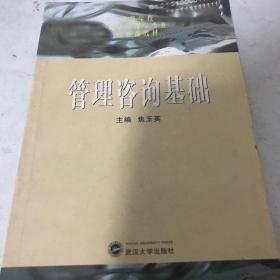 管理咨询基础/高等学校信息管理类专业核心课教材