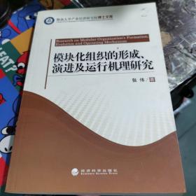 模块化组织的形成演进及运行机理研究