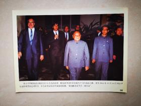 老照片：1984年10月10日，邓小平会见联邦德国总理科尔，强调“我们把改革当作一种革命”