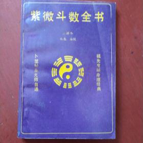 《紫微斗数全书》林农 编著 广西民族出版社  1991年1版1印 收藏品相 私藏 书品如图.