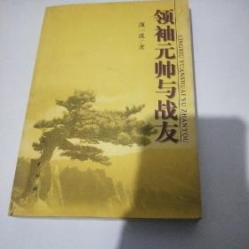 领袖元帅与战友