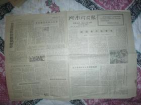 湖南科技报1977年11月3日