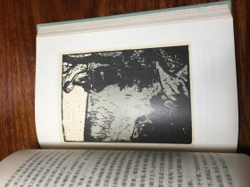 《敌后武工队》 当代文学名著 护封精装本 1974年7月 二版十八印