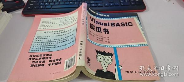 Visual BASIC傻瓜书