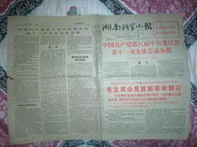 湖南科学小报1966年8月18日