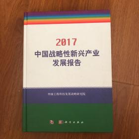 中国战略性新兴产业发展报告2017