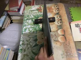 红色抗战传奇巨制《战地狮吼》剧照简介 宣传画册