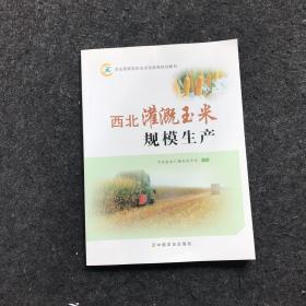 西北灌溉玉米规模生产