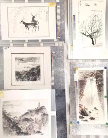 亚明、宋文治、张文俊、李山、华拓名家画作照片十六幅