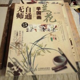 无师自通学国画兰花  大16开，全彩铜版纸