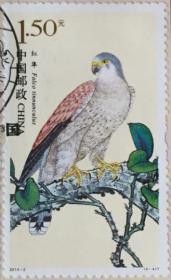 念椿萱 邮票2014年2014- 2T 猛禽 4-4 1.5元封洗票