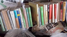 日文中国古代名人系列拆开单选9元起一册起，岳飞传 北方谦三著 日本集英社文库出版 ，其他姜子牙太公望 宫城谷昌光，中国大帝传，立间祥介，武则天武后津本阳，田中芳树，杨家将，秦始皇帝，安能务，诸葛亮孔明 陈舜臣，曹操，貂蝉，加野厚志，庄子物语，诸桥辙次，韩非子金谷治，李世民小明亮，西太后，溥仪，杨令传，老子庄子老庄wo读蜂尾邦夫