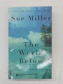Sue Miller 
The World Below