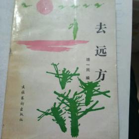去远方